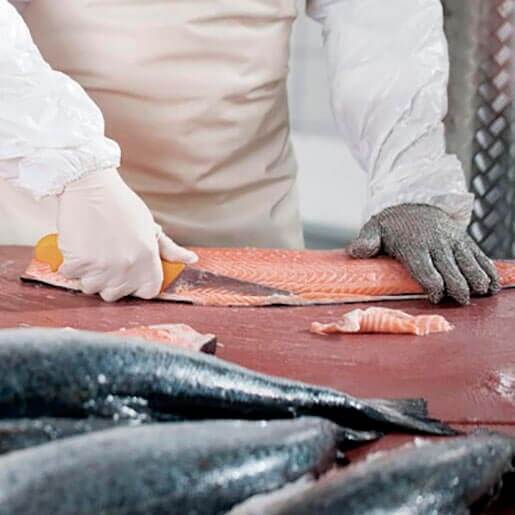 Manipulación de Pescado  | Reysan
