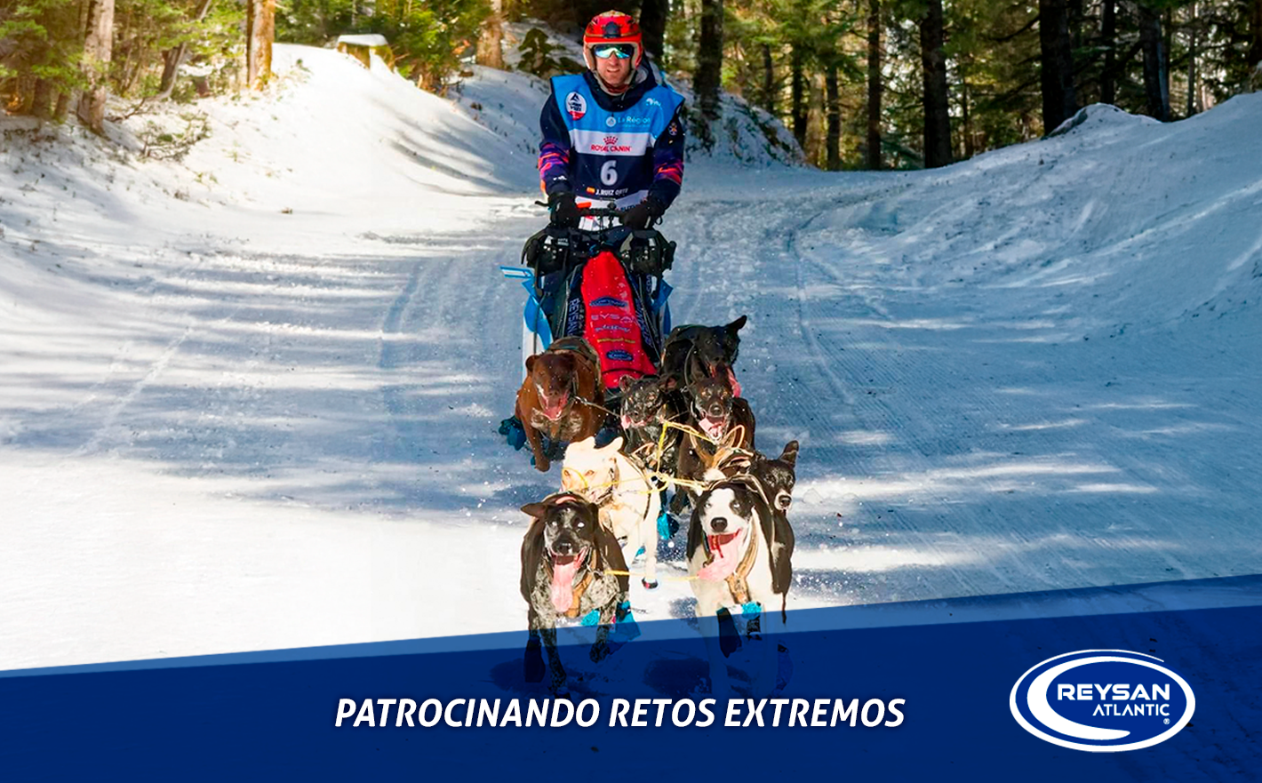 Javier Ruiz Orte brilla en La Grande Odyssée con un 2º puesto en mushing europeo