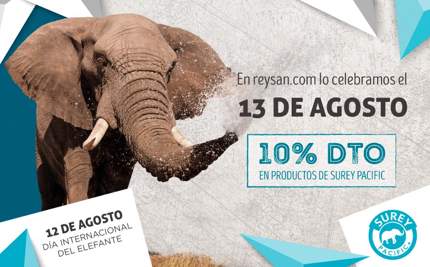 Promo por el día internacional del elefante
