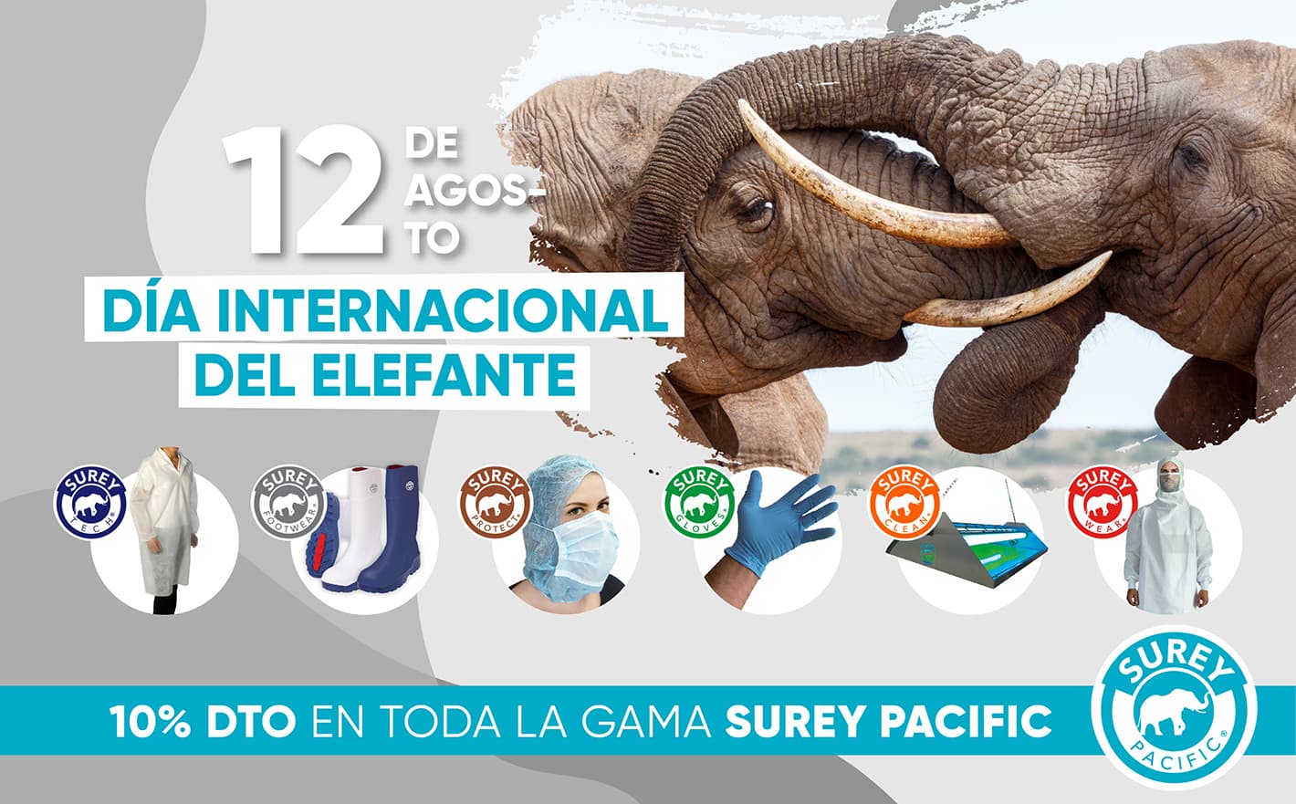 Celebra el Día Mundial del Elefante con Reysan 2022