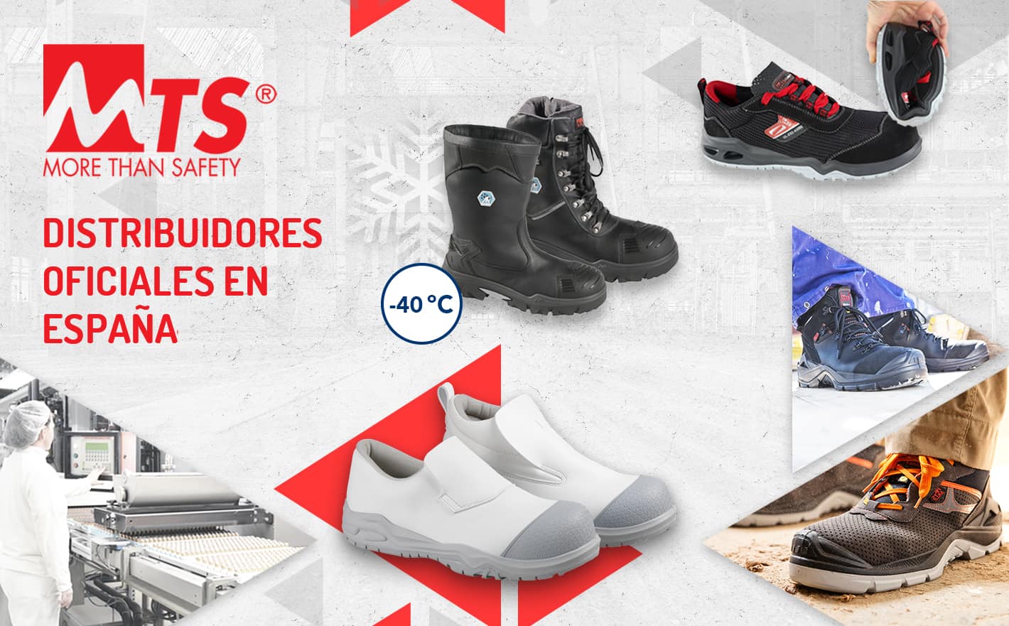 Distribuidores oficiales de MTS en España 