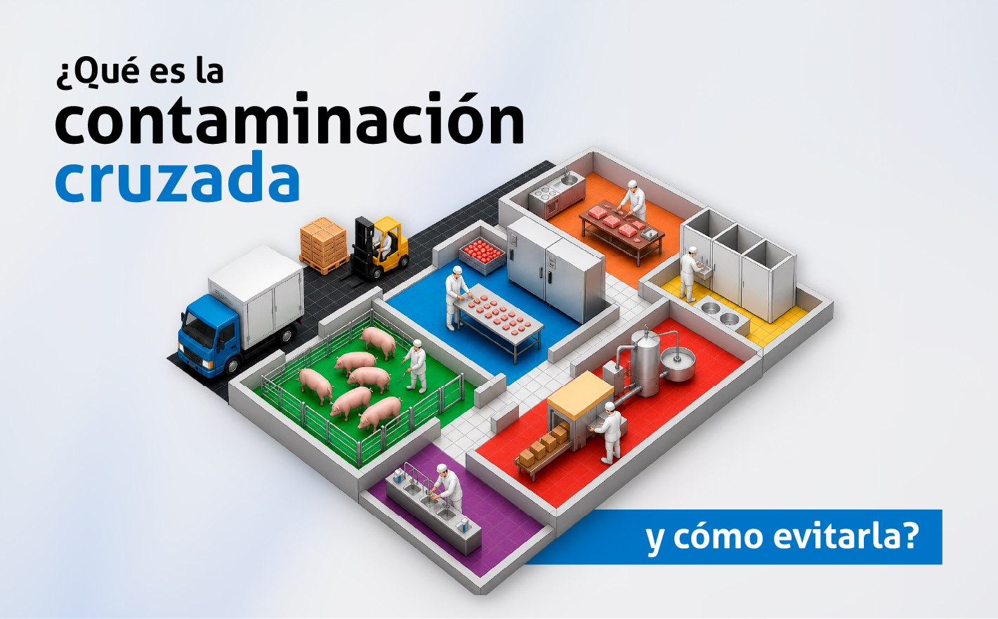 ¿Qué es la contaminación cruzada y cómo evitarla?