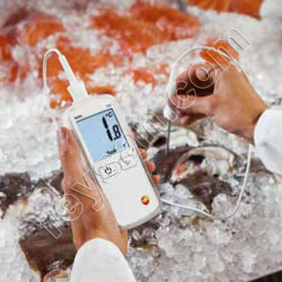 TESTO CON SONDA -50+300º 108