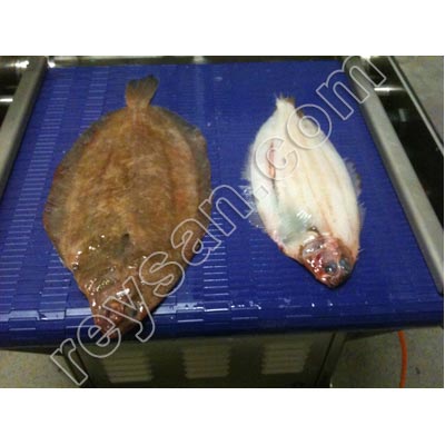 DESOLLADORA PESCADO 460 AUTOMATICA