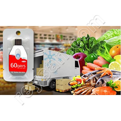 REGISTRADOR USB DE TEMPERATURA DESECHABLE