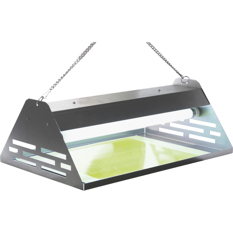 EXTERMINADOR INSECTOS INOX 15W LED INASTILLABLE